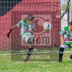 Fotografía 2017-INDART-UNION-35-scaled de NEWBERY - INDART - UNION / 2017