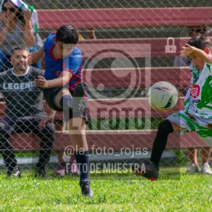 Fotografía 2017-INDART-UNION-5-scaled de NEWBERY - INDART - UNION / 2017