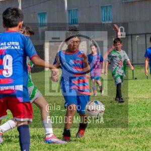 Fotografía 2017-INDART-UNION-52-scaled de NEWBERY - INDART - UNION / 2017