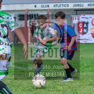 Fotografía 2017-INDART-UNION-55-scaled de NEWBERY - INDART - UNION / 2017