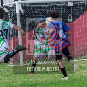 Fotografía 2017-INDART-UNION-59-scaled de NEWBERY - INDART - UNION / 2017