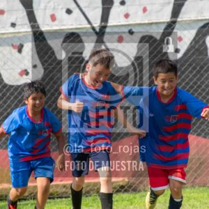 Fotografía 2017-INDART-UNION-68-scaled de NEWBERY - INDART - UNION / 2017