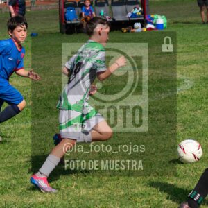 Fotografía 2017-INDART-UNION-72-scaled de NEWBERY - INDART - UNION / 2017