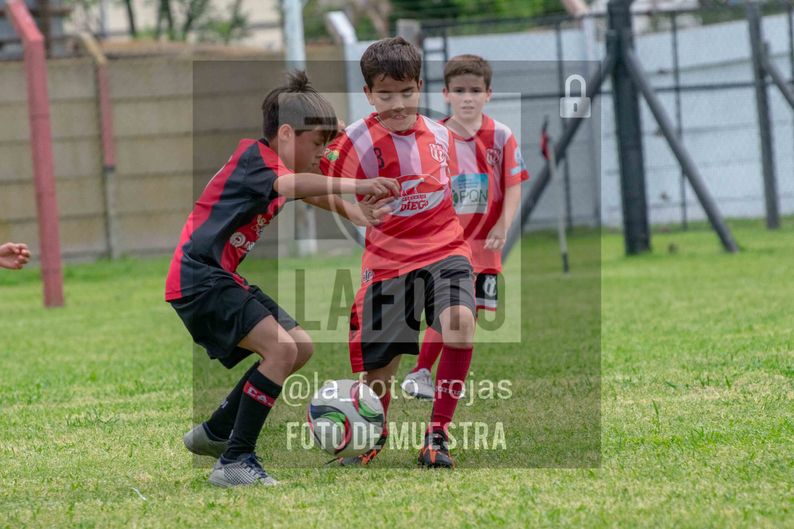 Fotografía 2017-NEW-JUVE-10-scaled de NEWBERY - JUVENTUD / 2017