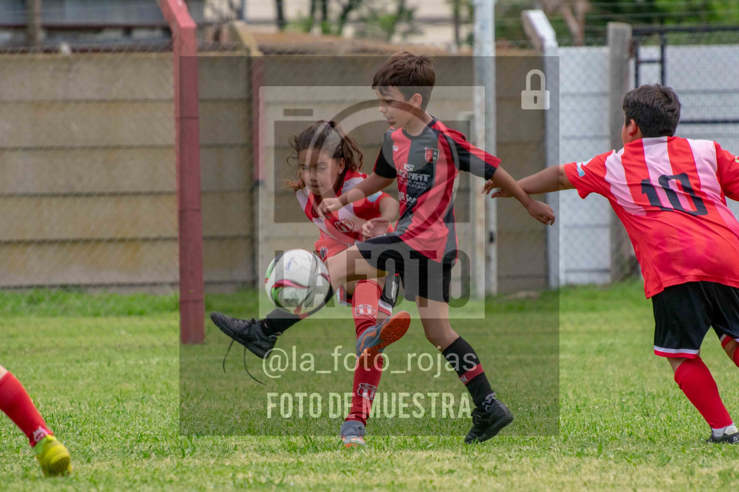 Fotografía 2017-NEW-JUVE-16-1-scaled de NEWBERY - JUVENTUD / 2017