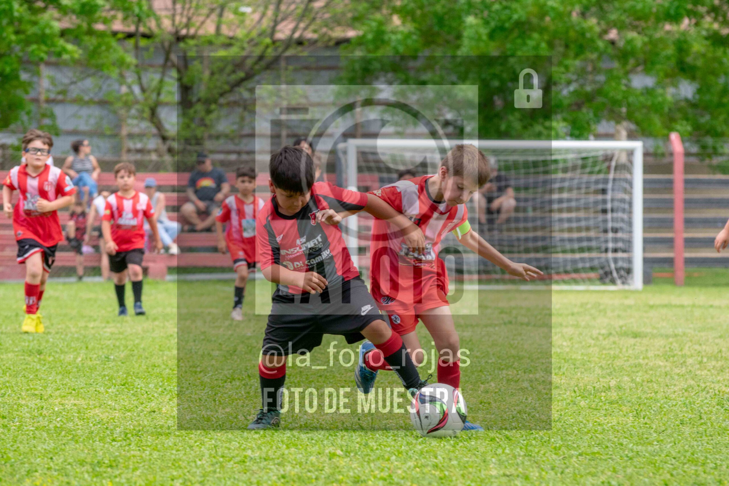 Fotografía 2017-NEW-JUVE-18-scaled de NEWBERY - JUVENTUD / 2017