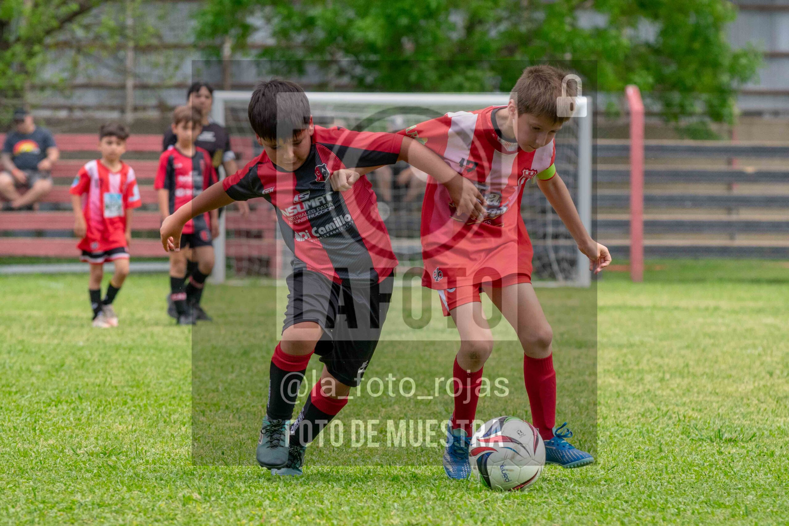 Fotografía 2017-NEW-JUVE-19-scaled de NEWBERY - JUVENTUD / 2017