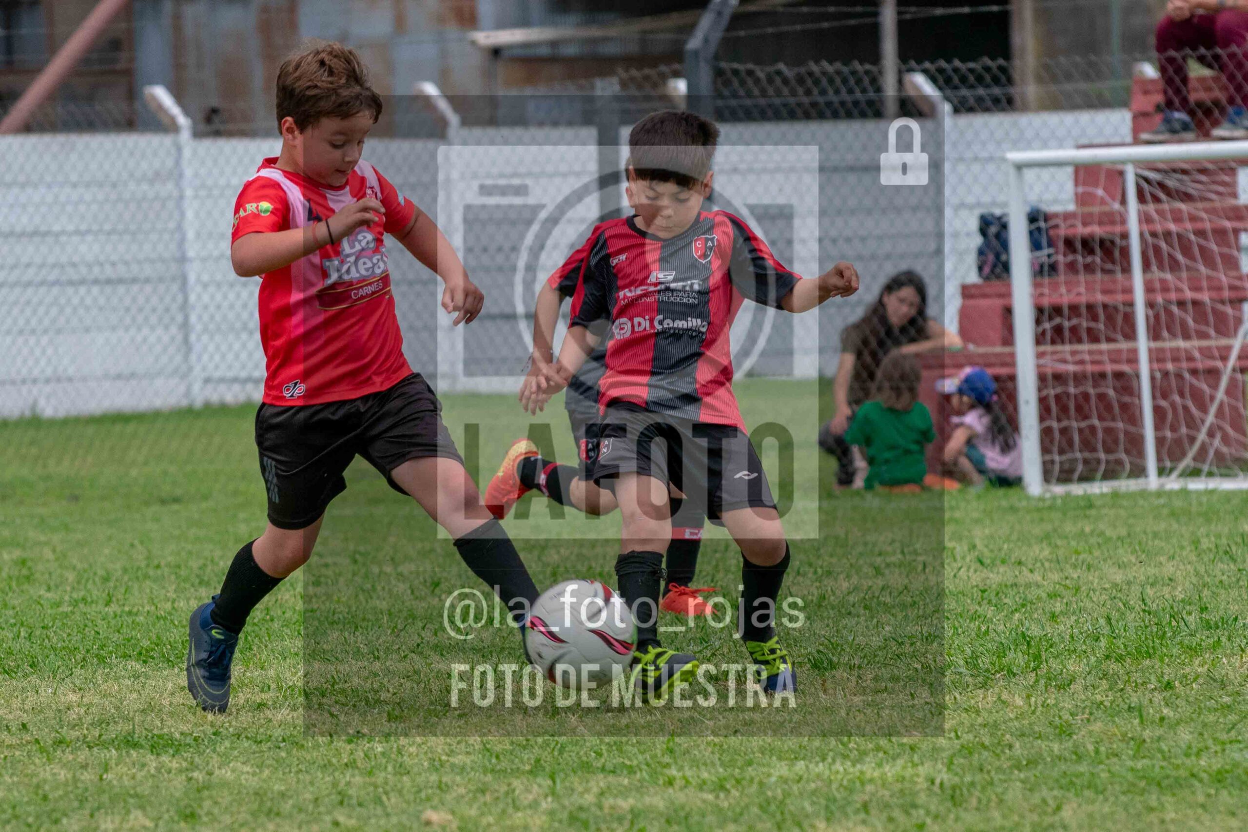 Fotografía 2017-NEW-JUVE-41-scaled de NEWBERY - JUVENTUD / 2017