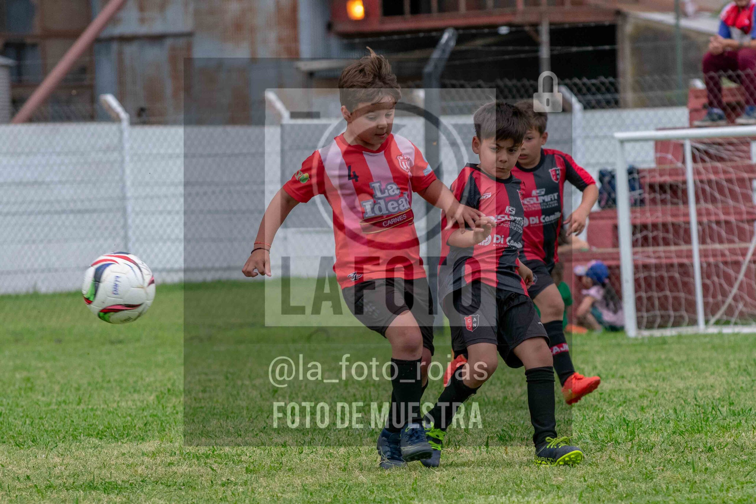 Fotografía 2017-NEW-JUVE-42-scaled de NEWBERY - JUVENTUD / 2017