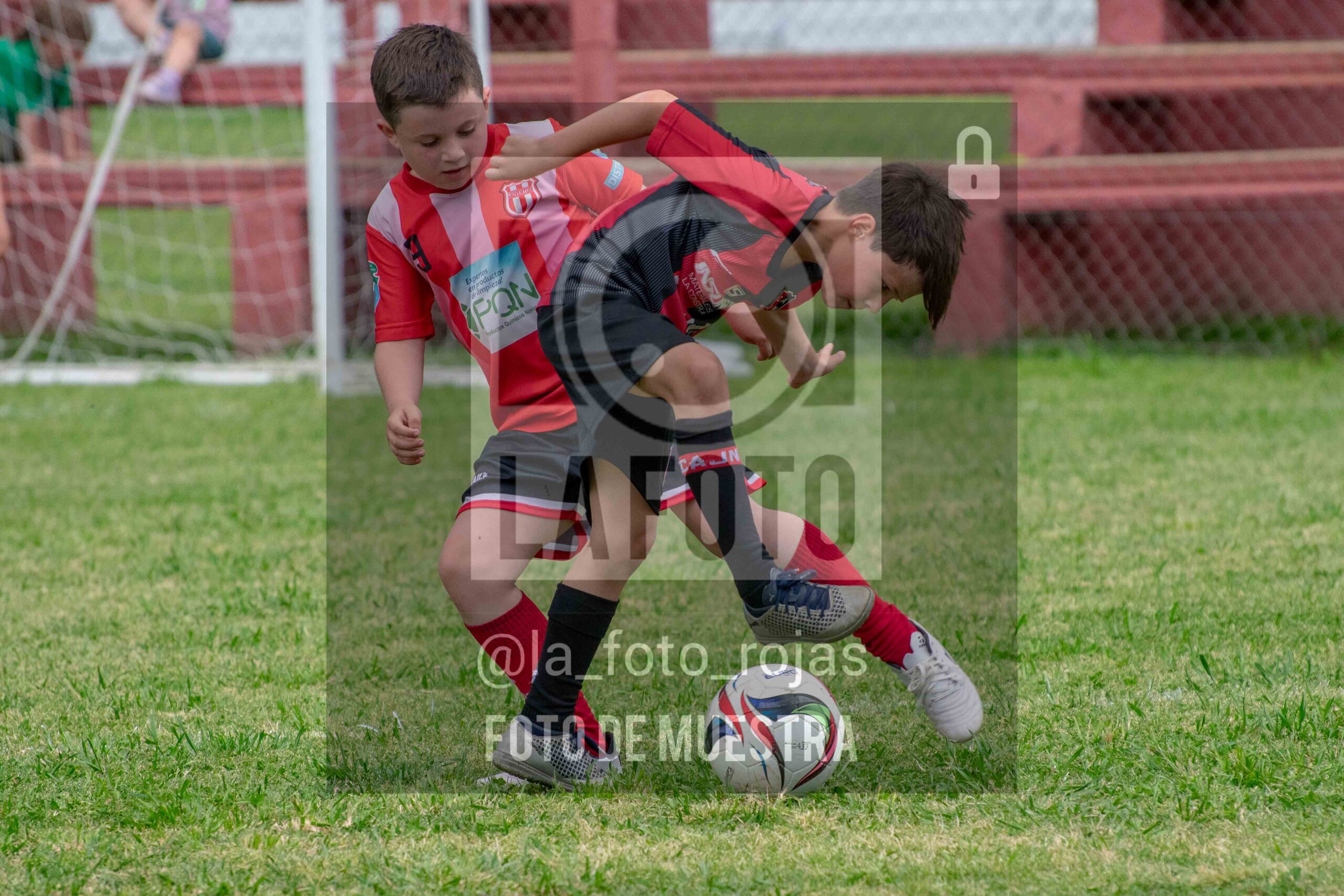 Fotografía 2017-NEW-JUVE-45-scaled de NEWBERY - JUVENTUD / 2017
