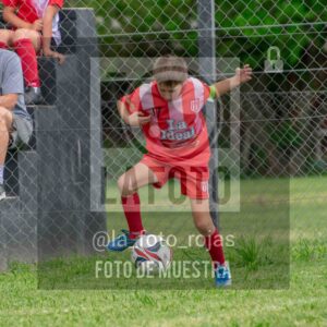 Fotografía 2017-NEW-JUVE-53-scaled de NEWBERY - JUVENTUD / 2017