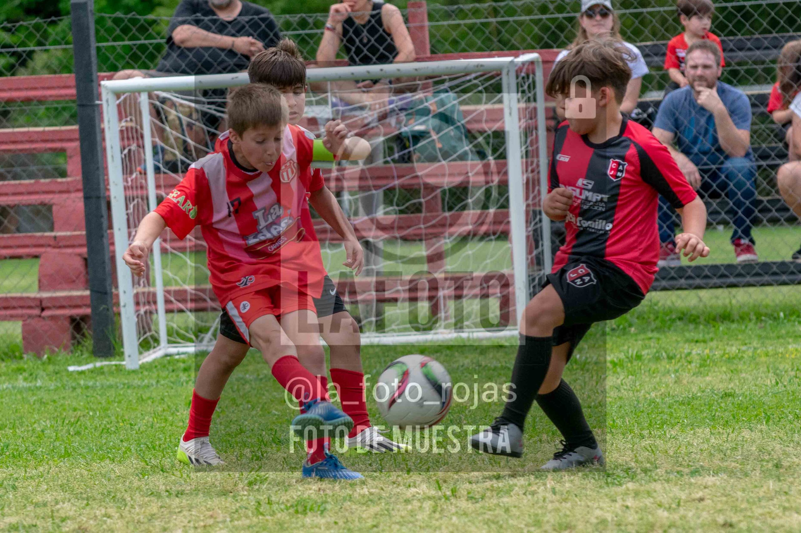 Fotografía 2017-NEW-JUVE-6-scaled de NEWBERY - JUVENTUD / 2017