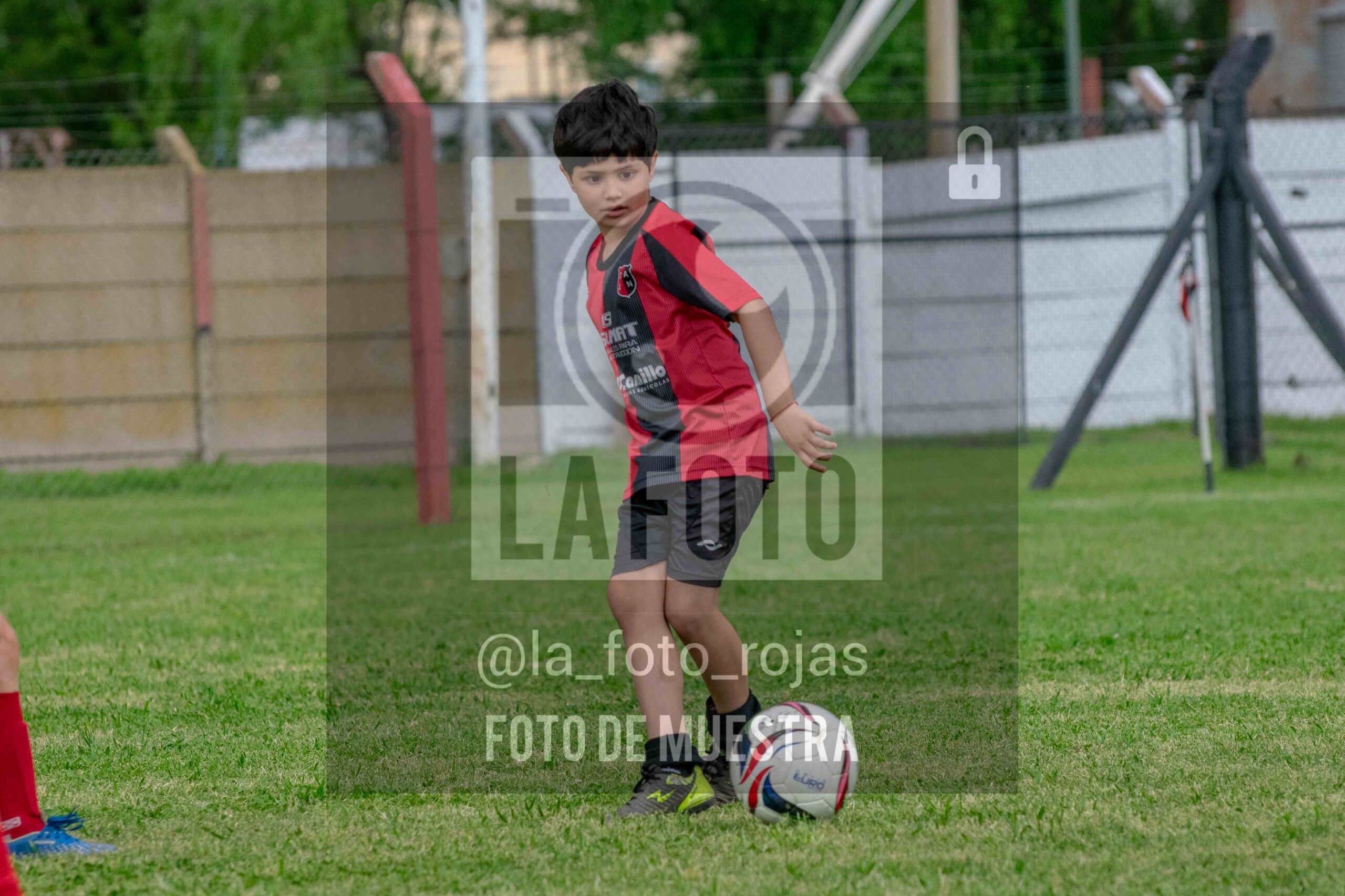 Fotografía 2017-NEW-JUVE-63-scaled de NEWBERY - JUVENTUD / 2017