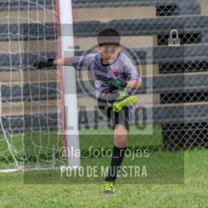 Fotografía 2017-NEW-JUVE-65-scaled de NEWBERY - JUVENTUD / 2017
