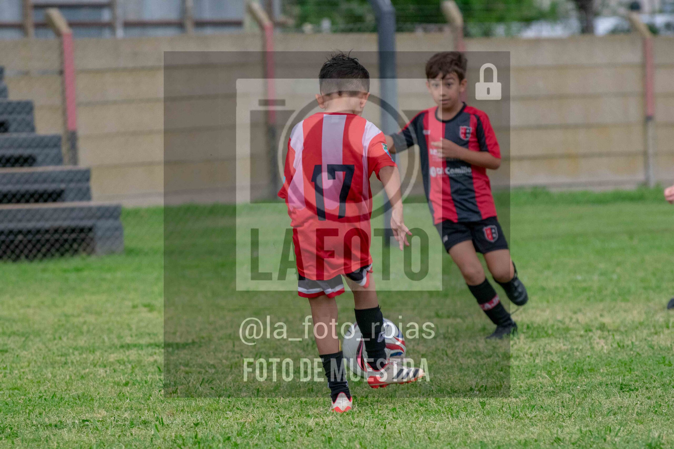 Fotografía 2017-NEW-JUVE-67-scaled de NEWBERY - JUVENTUD / 2017