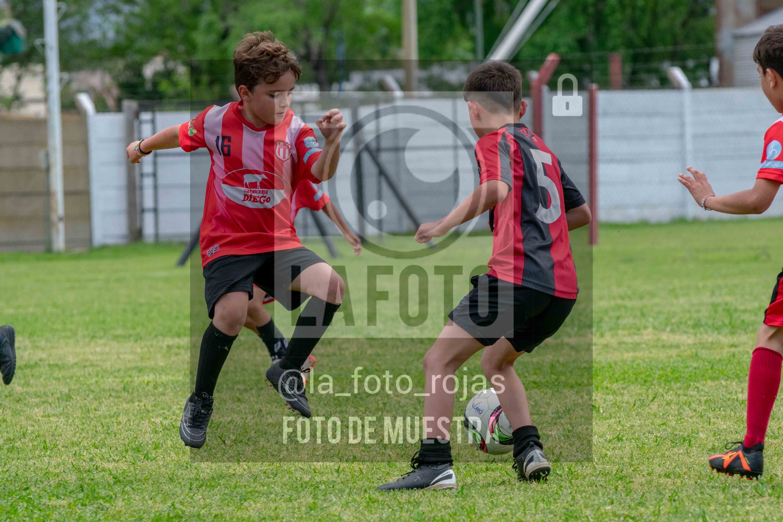 Fotografía 2017-NEW-JUVE-7-scaled de NEWBERY - JUVENTUD / 2017