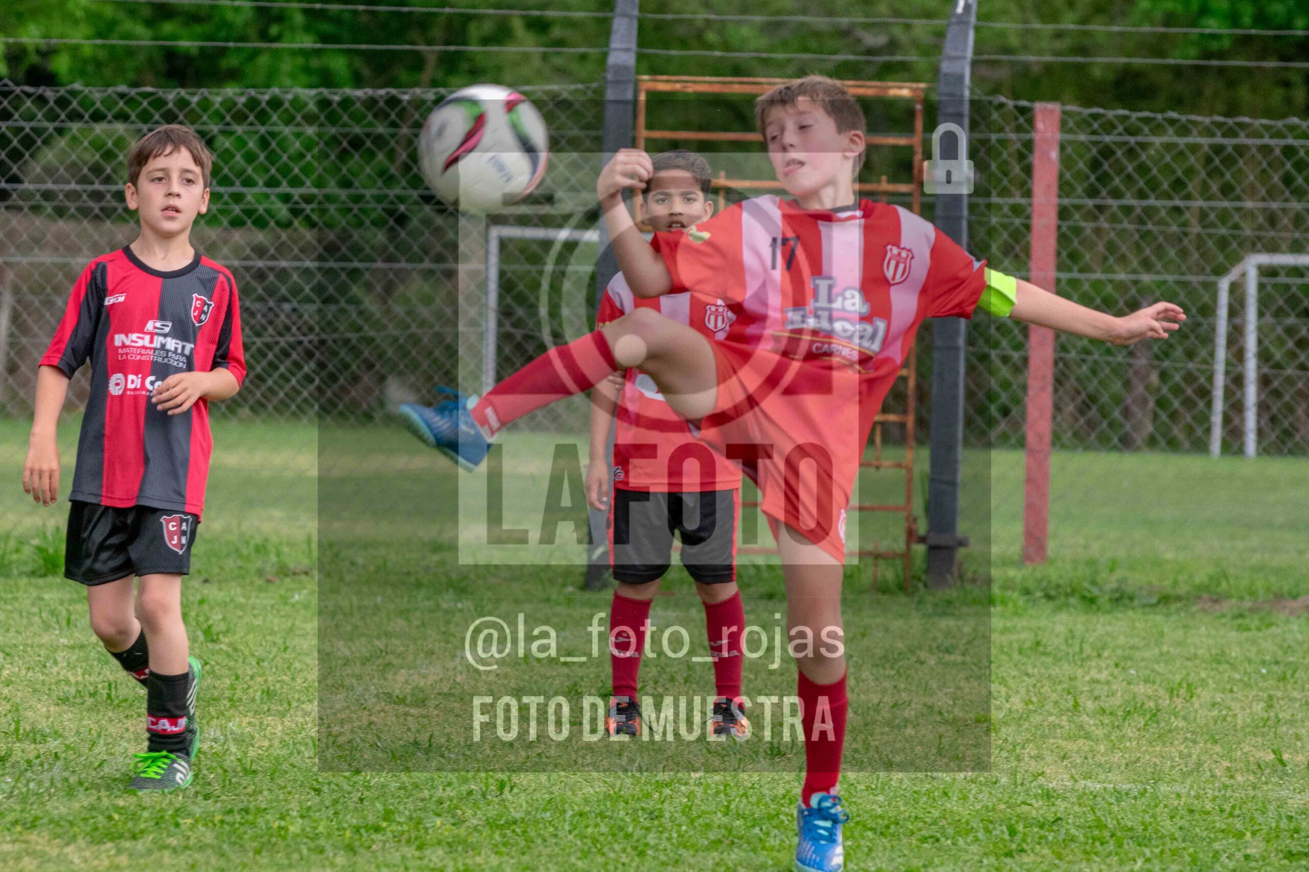 Fotografía 2017-NEW-JUVE-75-scaled de NEWBERY - JUVENTUD / 2017