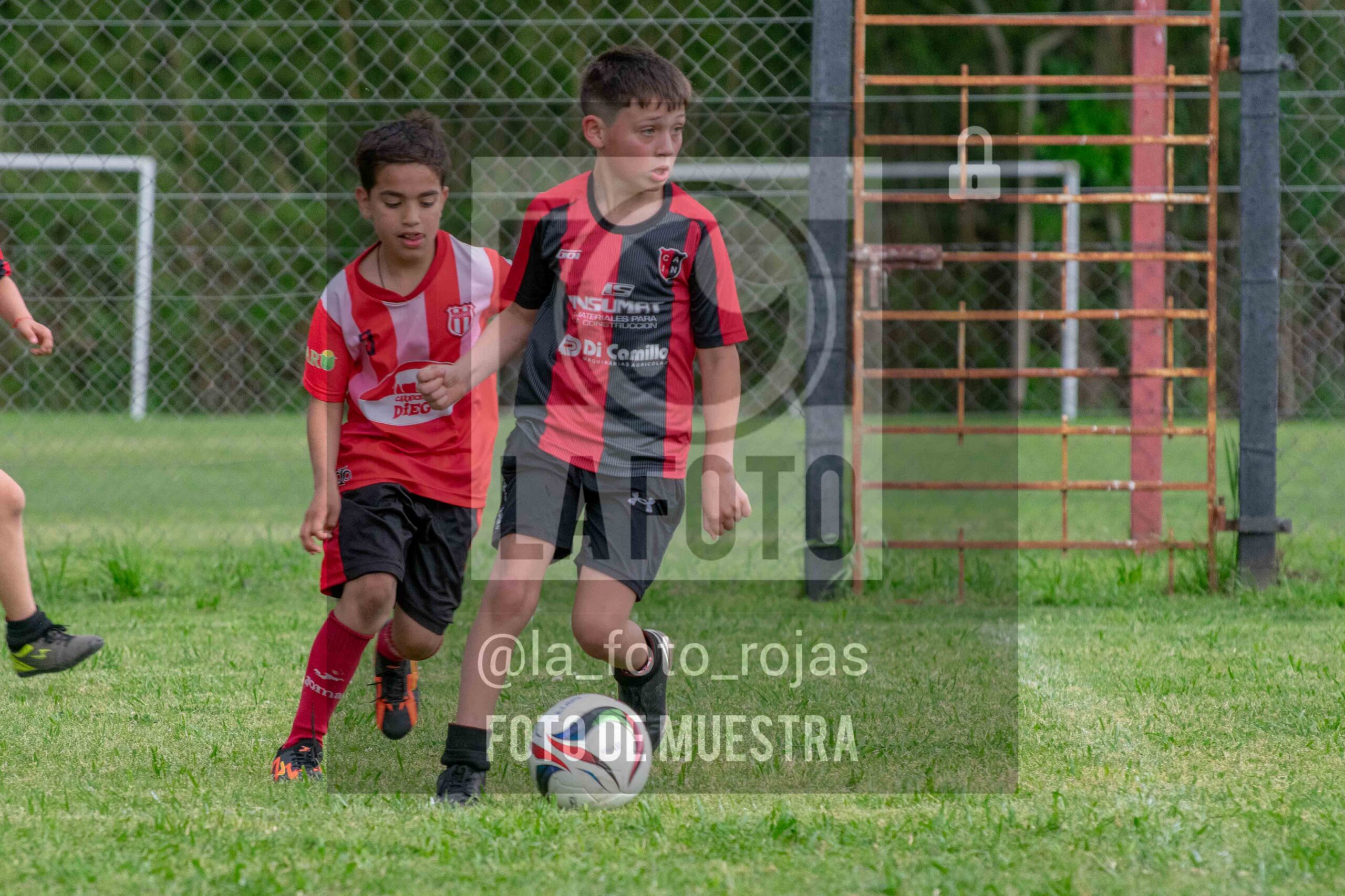 Fotografía 2017-NEW-JUVE-80-scaled de NEWBERY - JUVENTUD / 2017