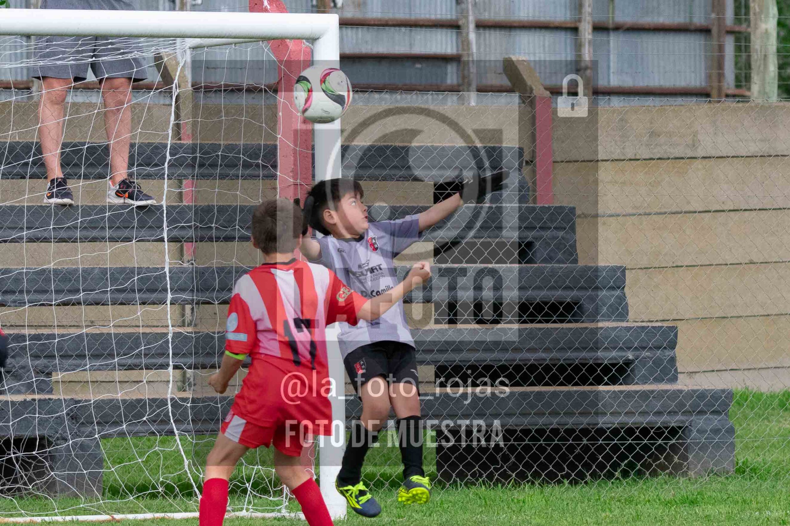 Fotografía 2017-NEW-JUVE-82-scaled de NEWBERY - JUVENTUD / 2017