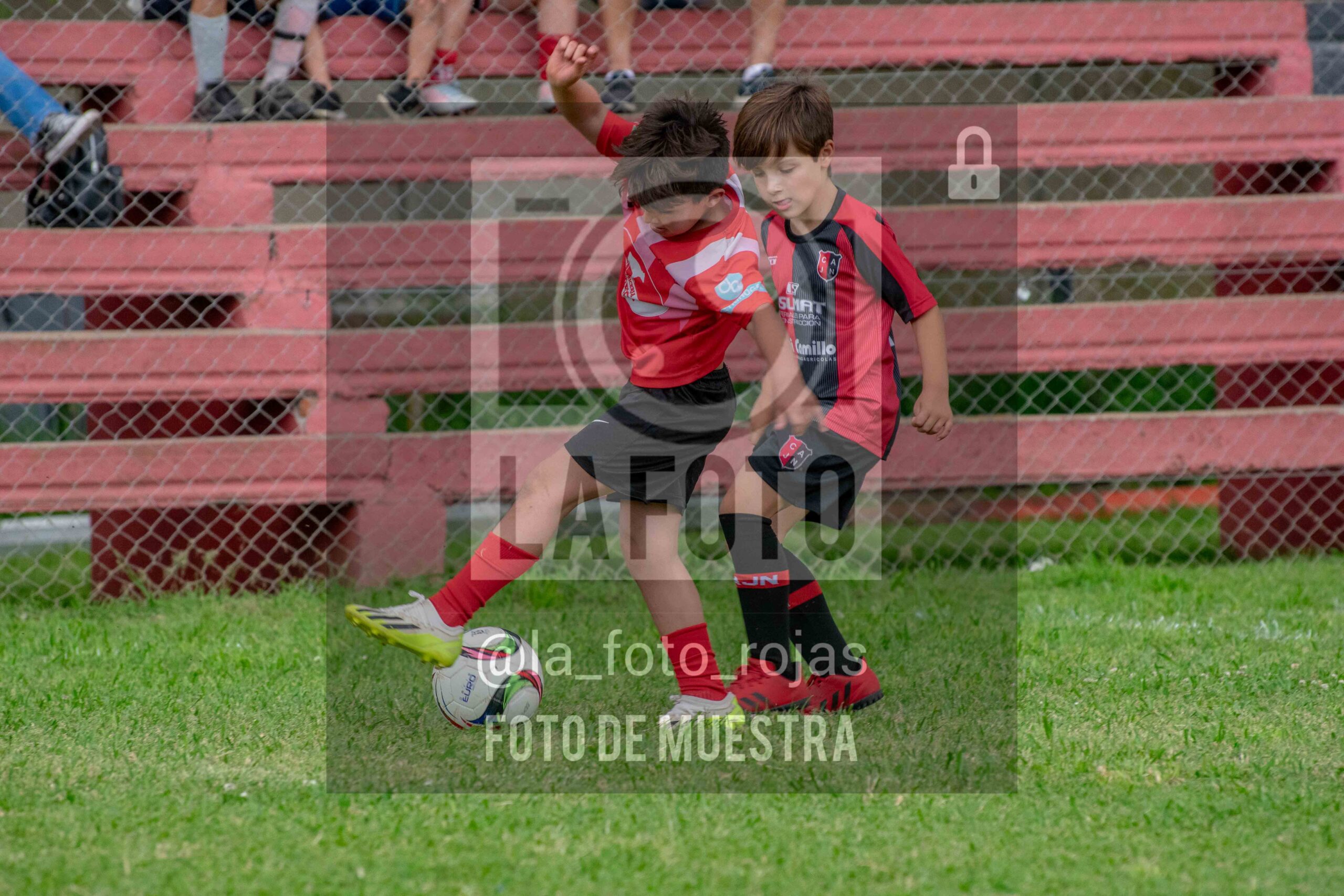 Fotografía 2017-NEW-JUVE-85-scaled de NEWBERY - JUVENTUD / 2017