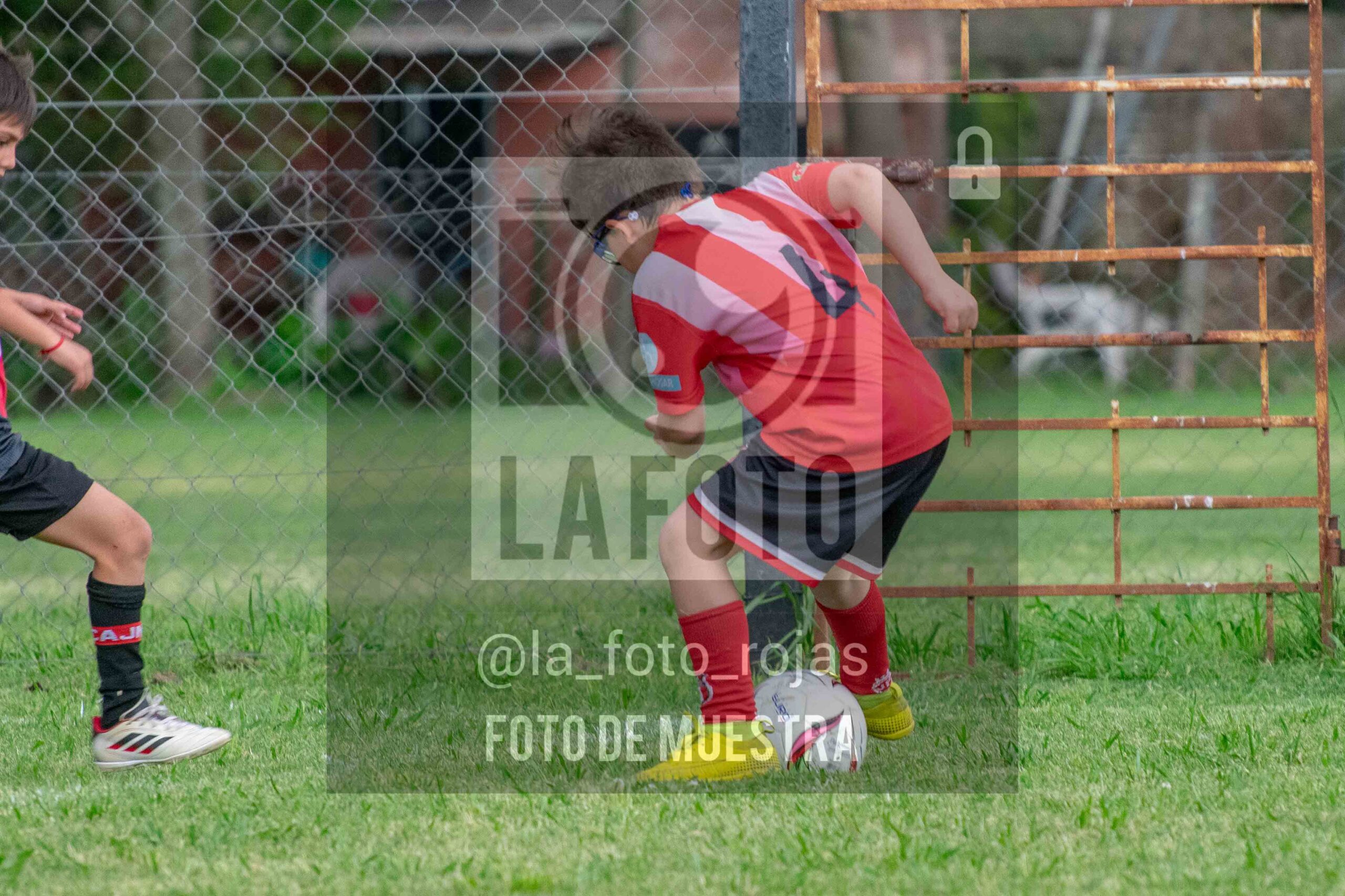 Fotografía 2017-NEW-JUVE-86-scaled de NEWBERY - JUVENTUD / 2017