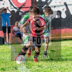 Fotografía 2017-NEWBERY-INDART-20-scaled de NEWBERY - INDART - UNION / 2017
