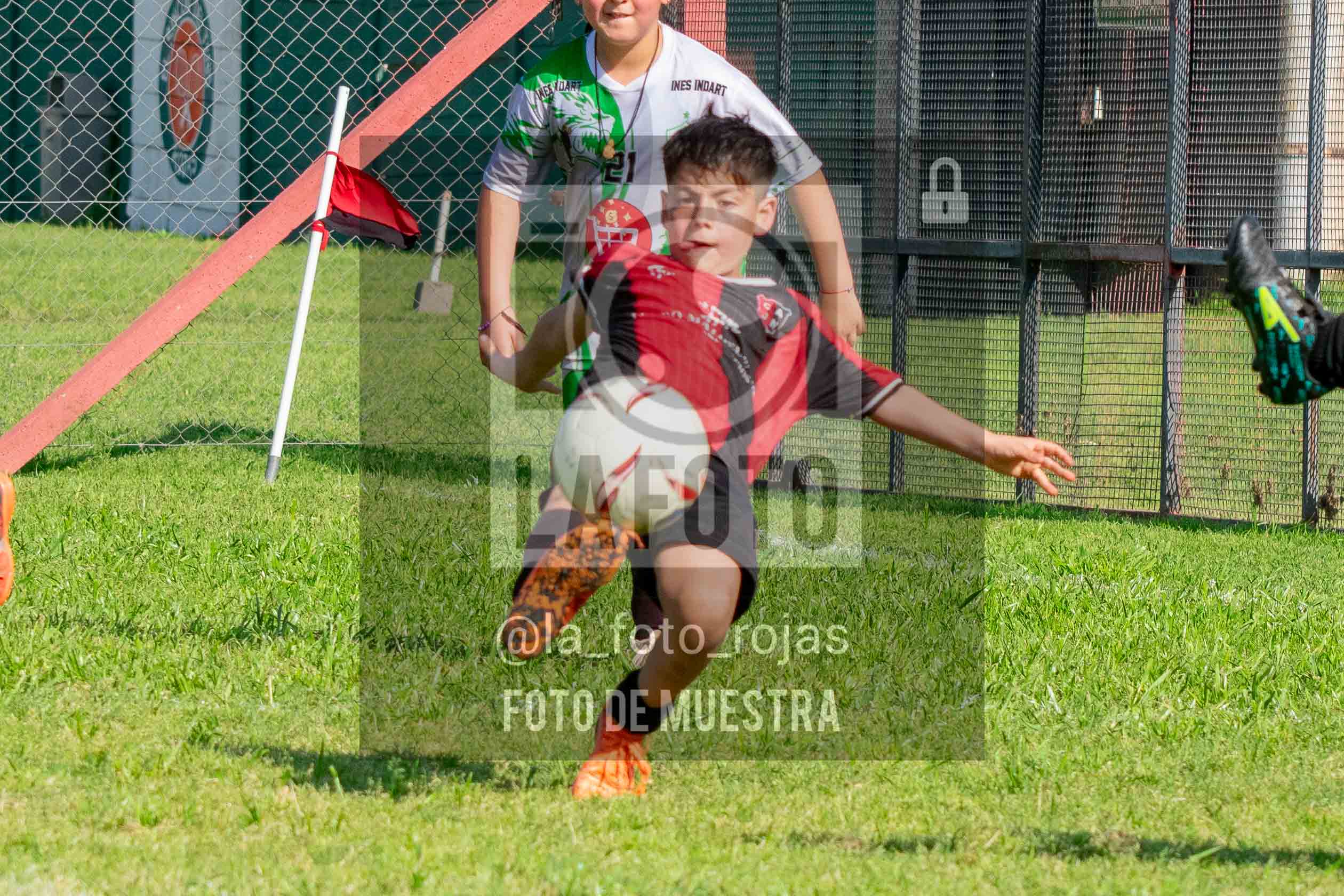 Fotografía 2017-NEWBERY-INDART-21 de NEWBERY - INDART - UNION / 2017