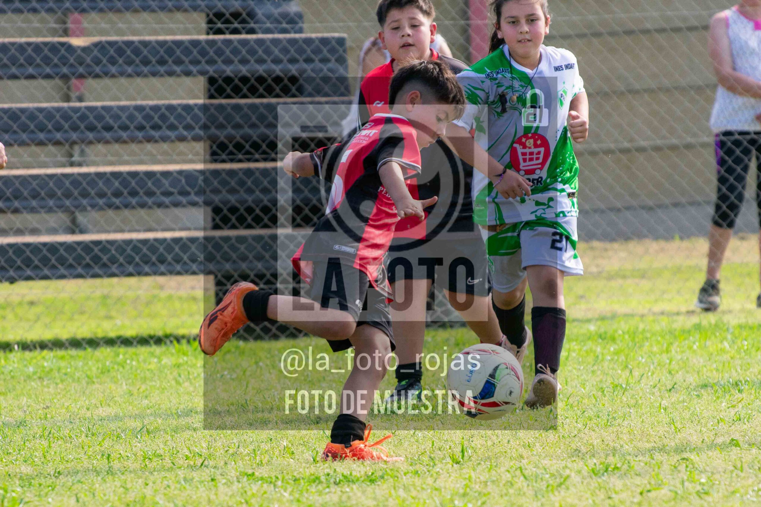 Fotografía 2017-NEWBERY-INDART-46-scaled de NEWBERY - INDART - UNION / 2017