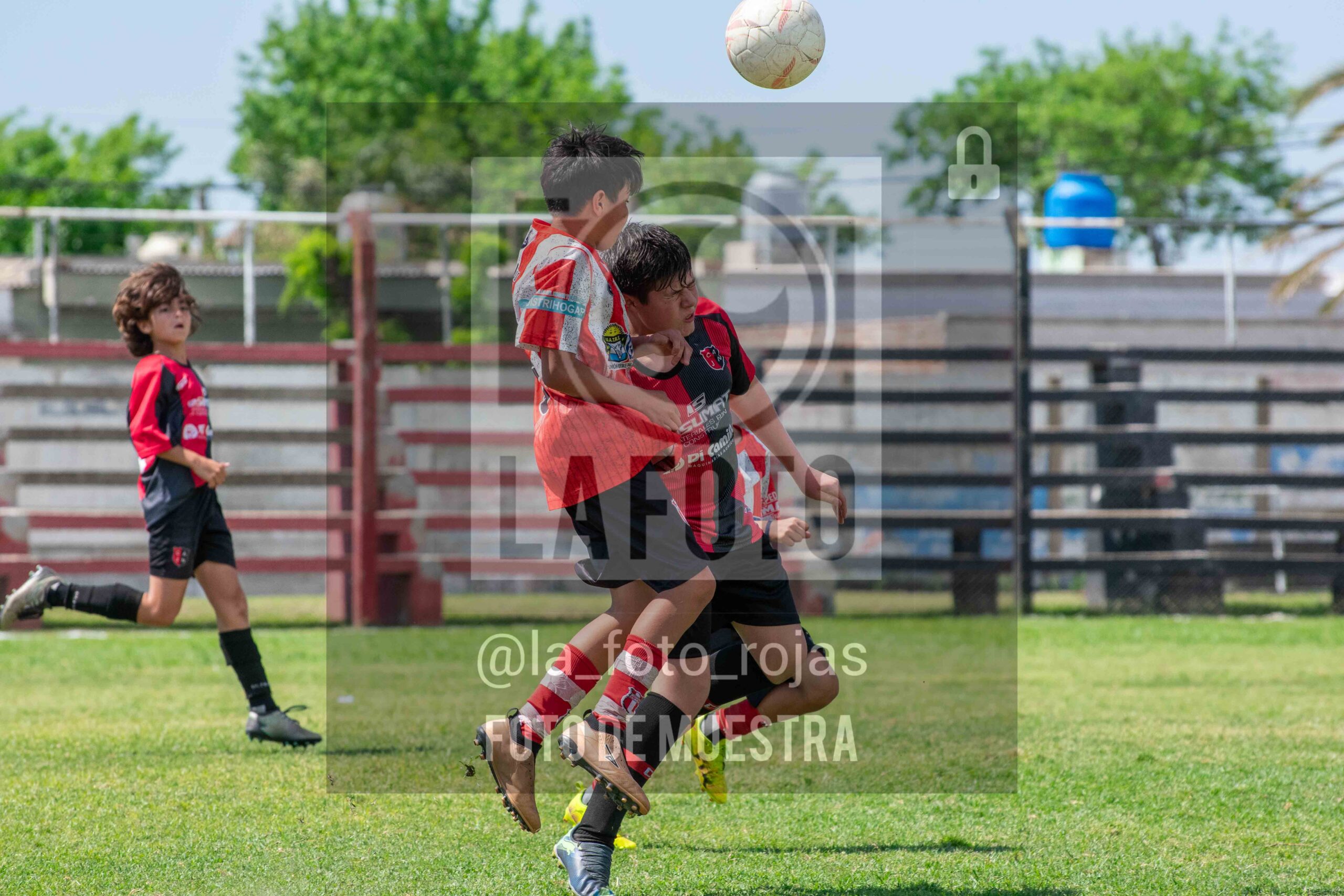 Fotografía SUB12-NEW-JUVE-103-scaled de NEWBERY JUVENTUD / SUB12