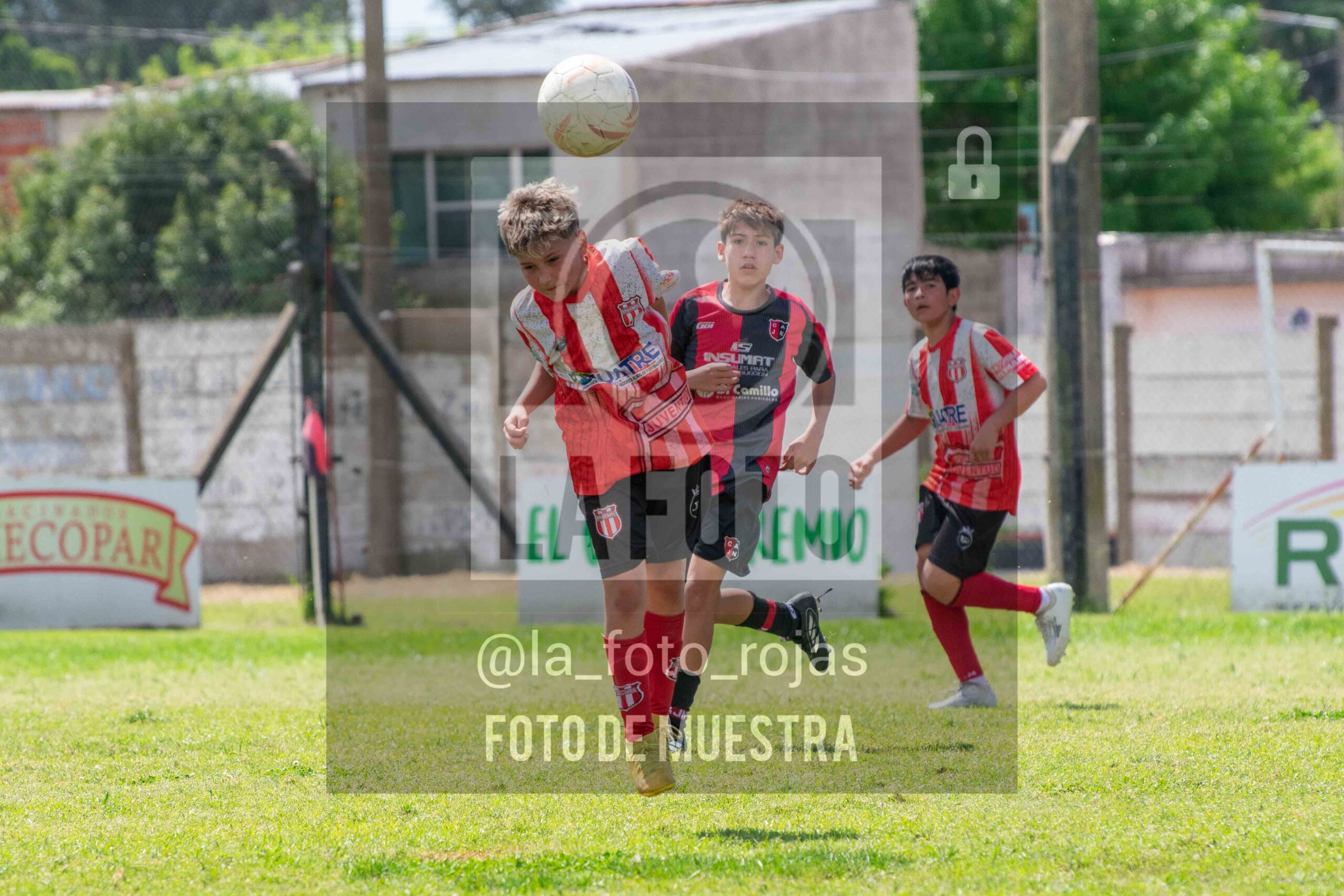 Fotografía SUB12-NEW-JUVE-116-scaled de NEWBERY JUVENTUD / SUB12