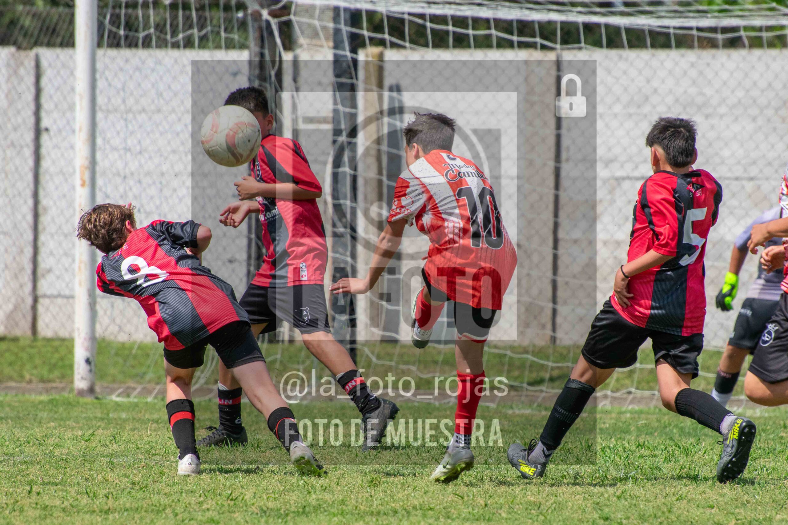 Fotografía SUB12-NEW-JUVE-118-scaled de NEWBERY JUVENTUD / SUB12