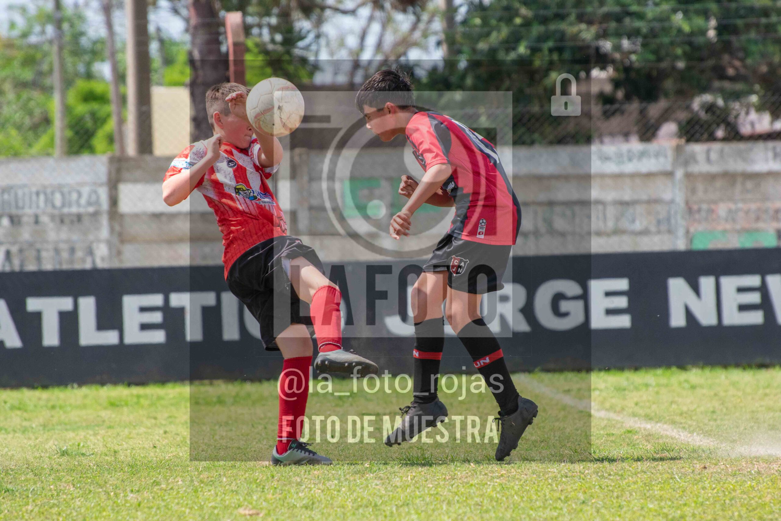 Fotografía SUB12-NEW-JUVE-122-scaled de NEWBERY JUVENTUD / SUB12