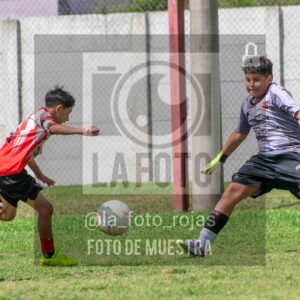 Fotografía SUB12-NEW-JUVE-129-scaled de NEWBERY JUVENTUD / SUB12