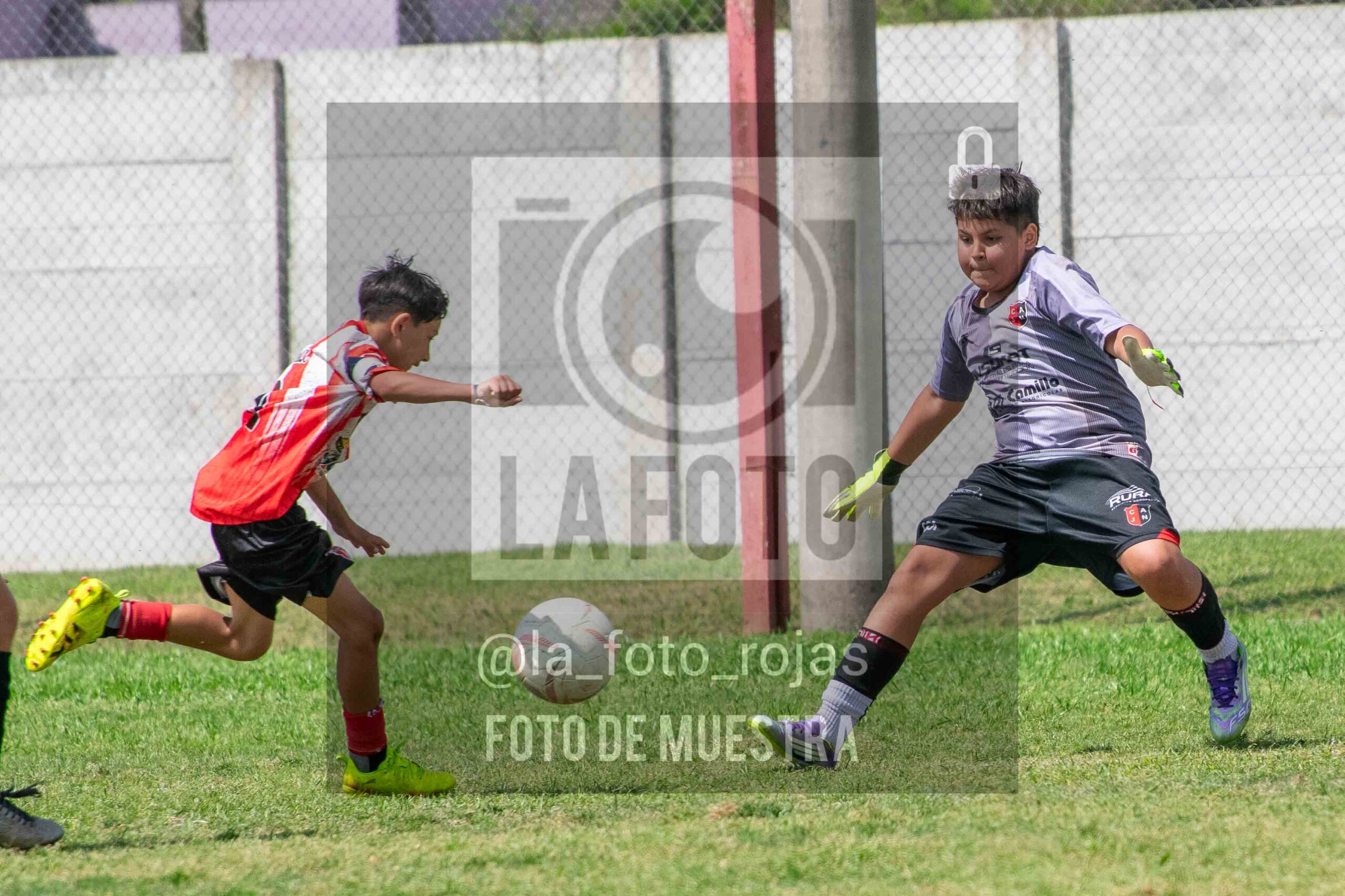 Fotografía SUB12-NEW-JUVE-129-scaled de NEWBERY JUVENTUD / SUB12