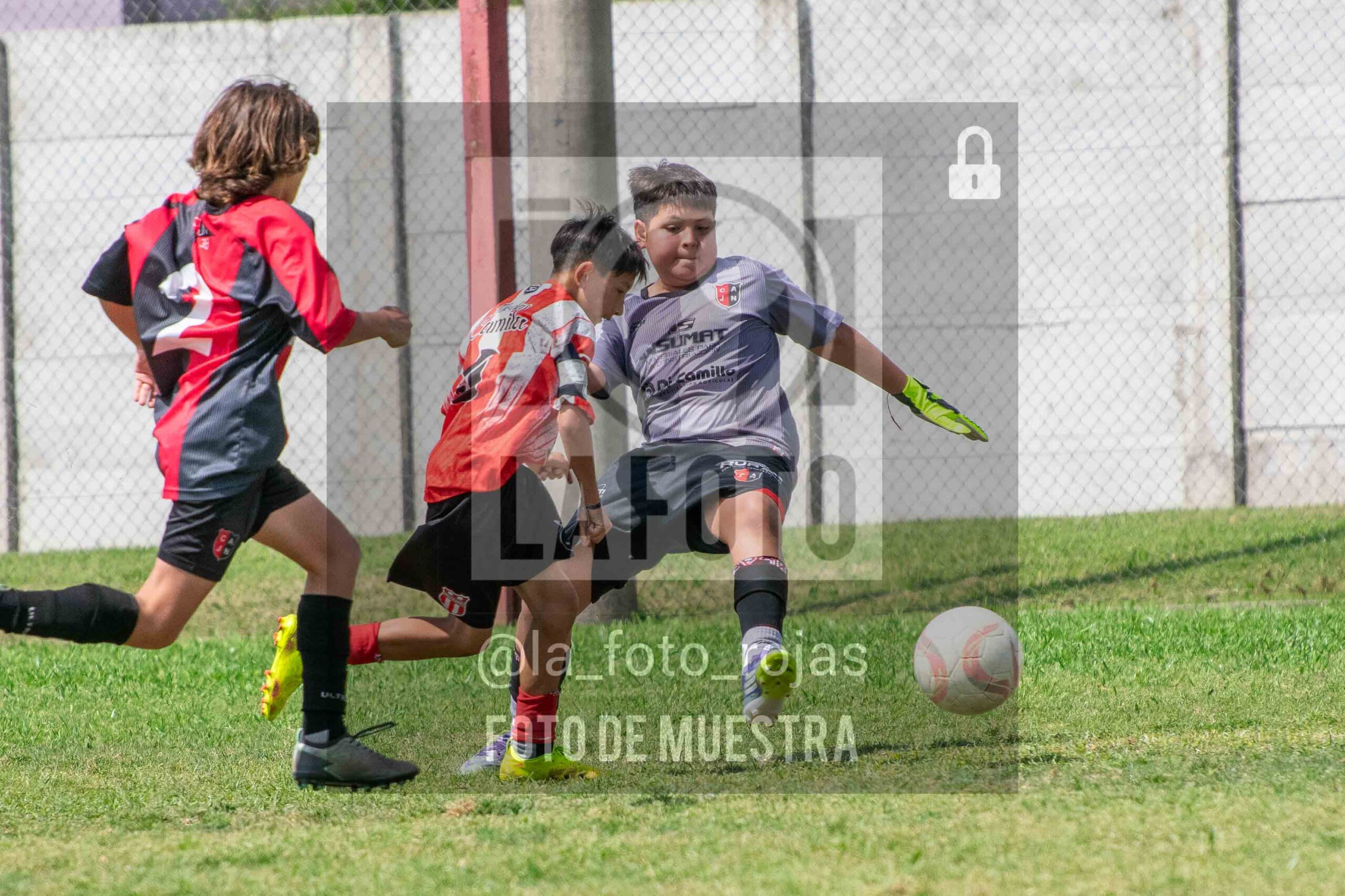 Fotografía SUB12-NEW-JUVE-130-scaled de NEWBERY JUVENTUD / SUB12