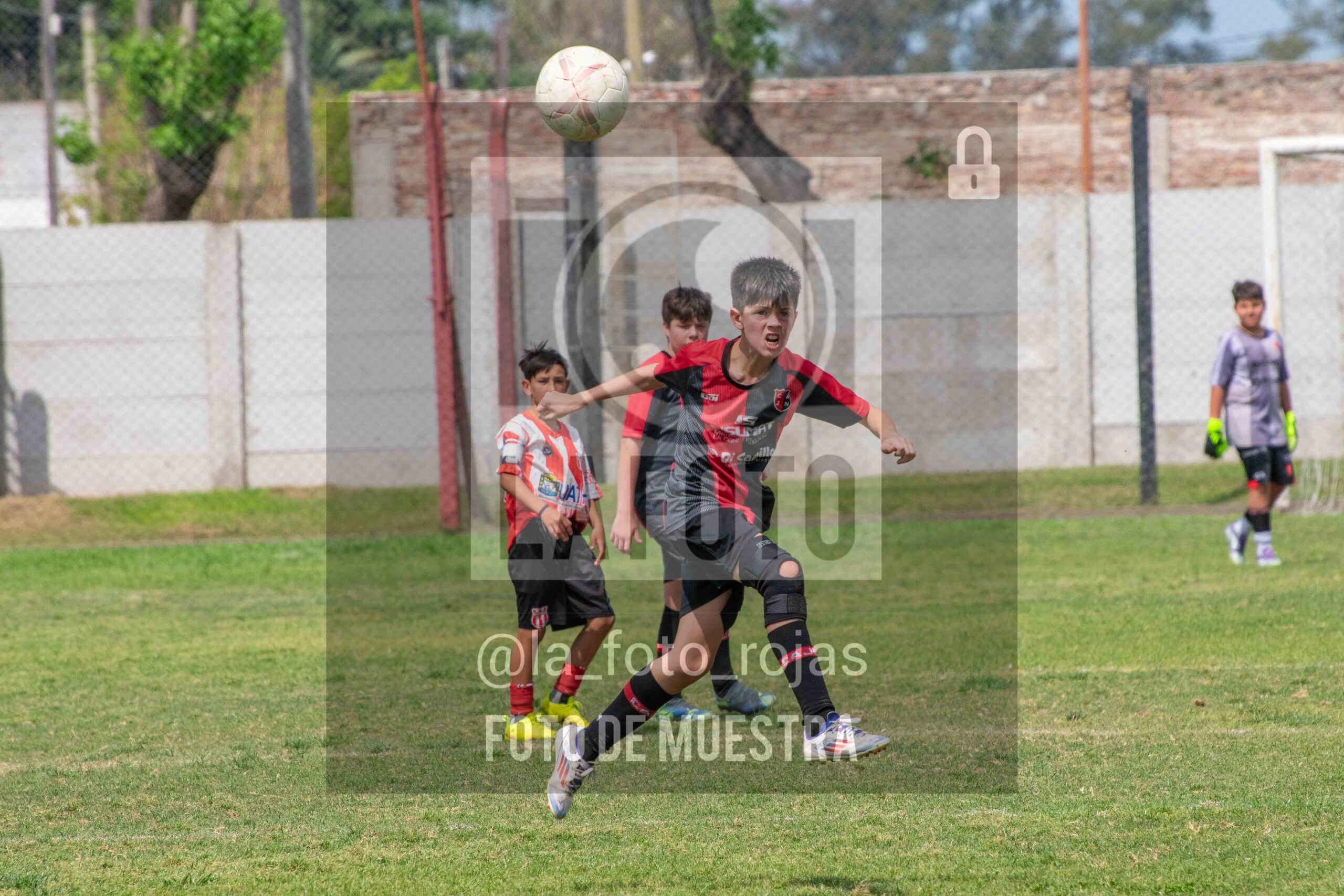 Fotografía SUB12-NEW-JUVE-149-scaled de NEWBERY JUVENTUD / SUB12