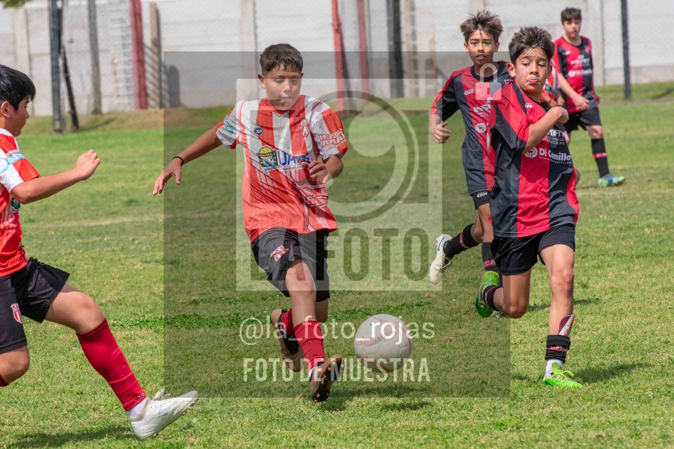 Fotografía SUB12-NEW-JUVE-150-scaled de NEWBERY JUVENTUD / SUB12
