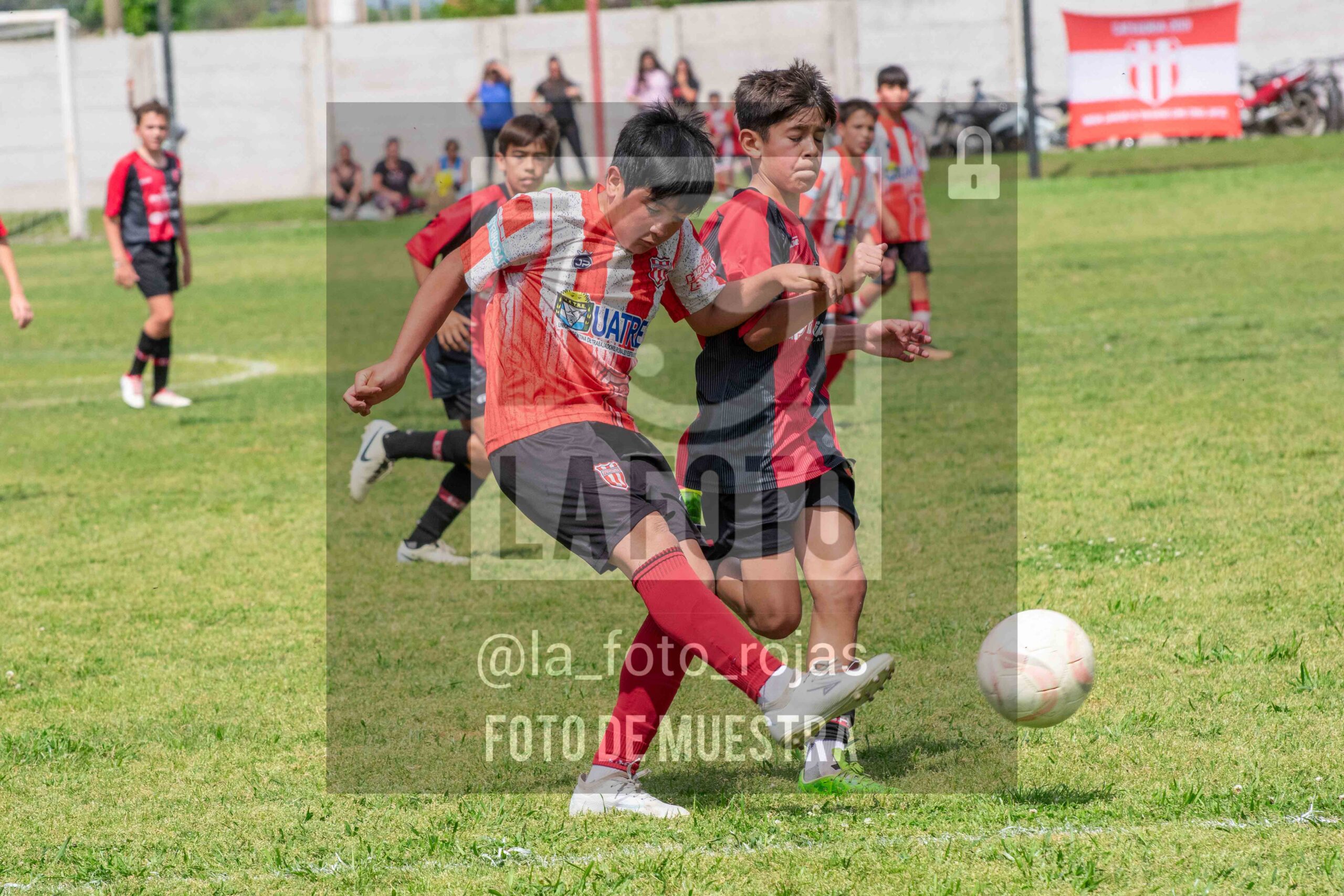 Fotografía SUB12-NEW-JUVE-152-scaled de NEWBERY JUVENTUD / SUB12