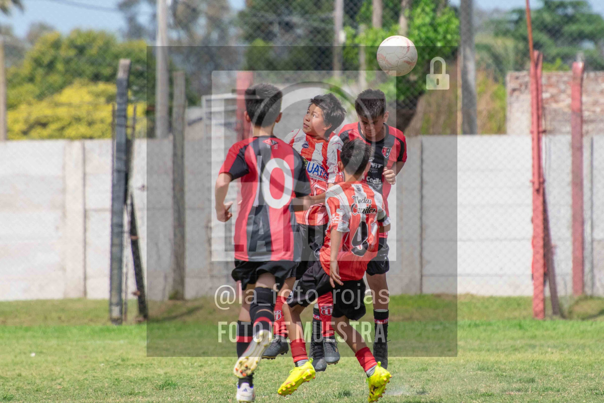 Fotografía SUB12-NEW-JUVE-157-scaled de NEWBERY JUVENTUD / SUB12