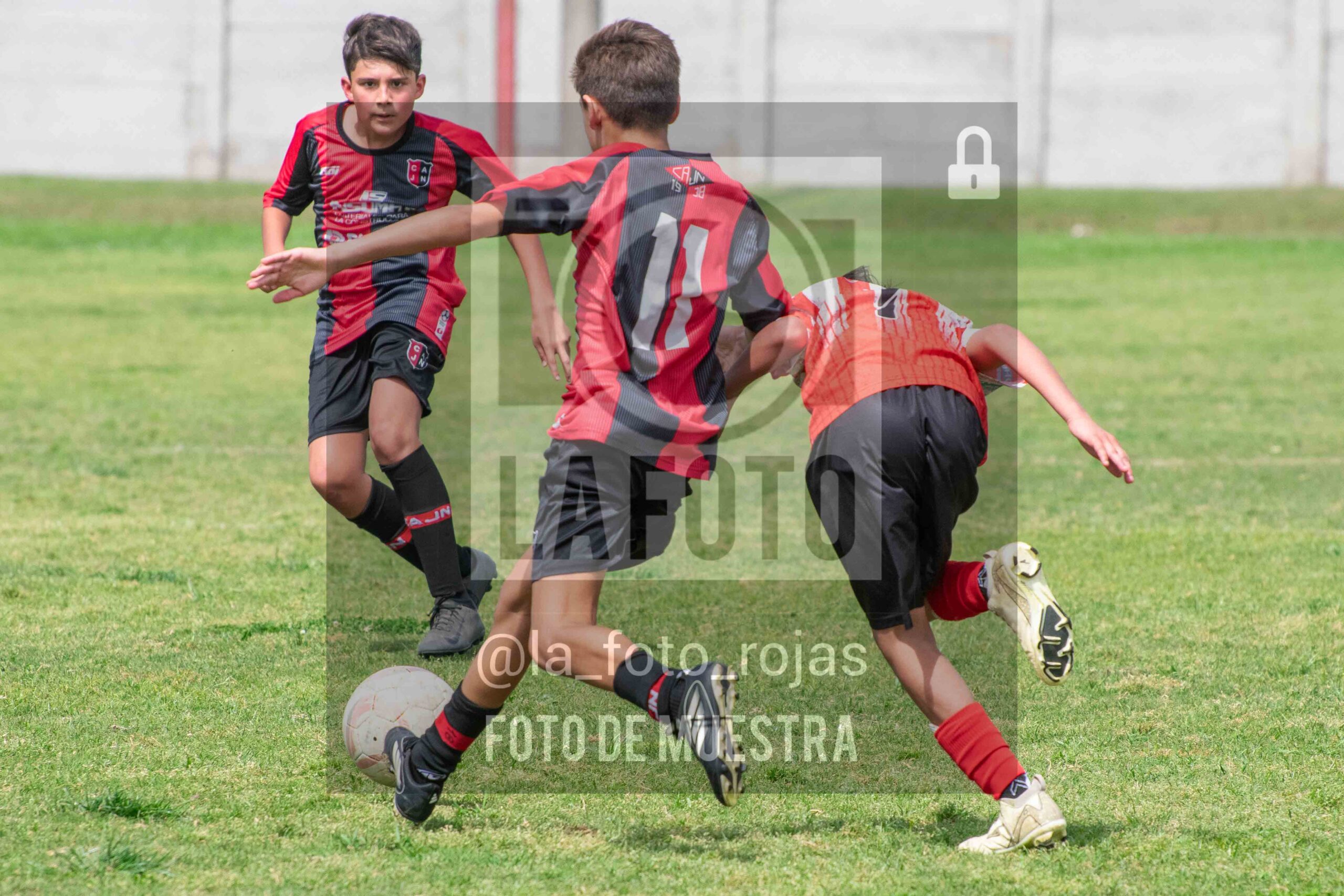 Fotografía SUB12-NEW-JUVE-161-scaled de NEWBERY JUVENTUD / SUB12