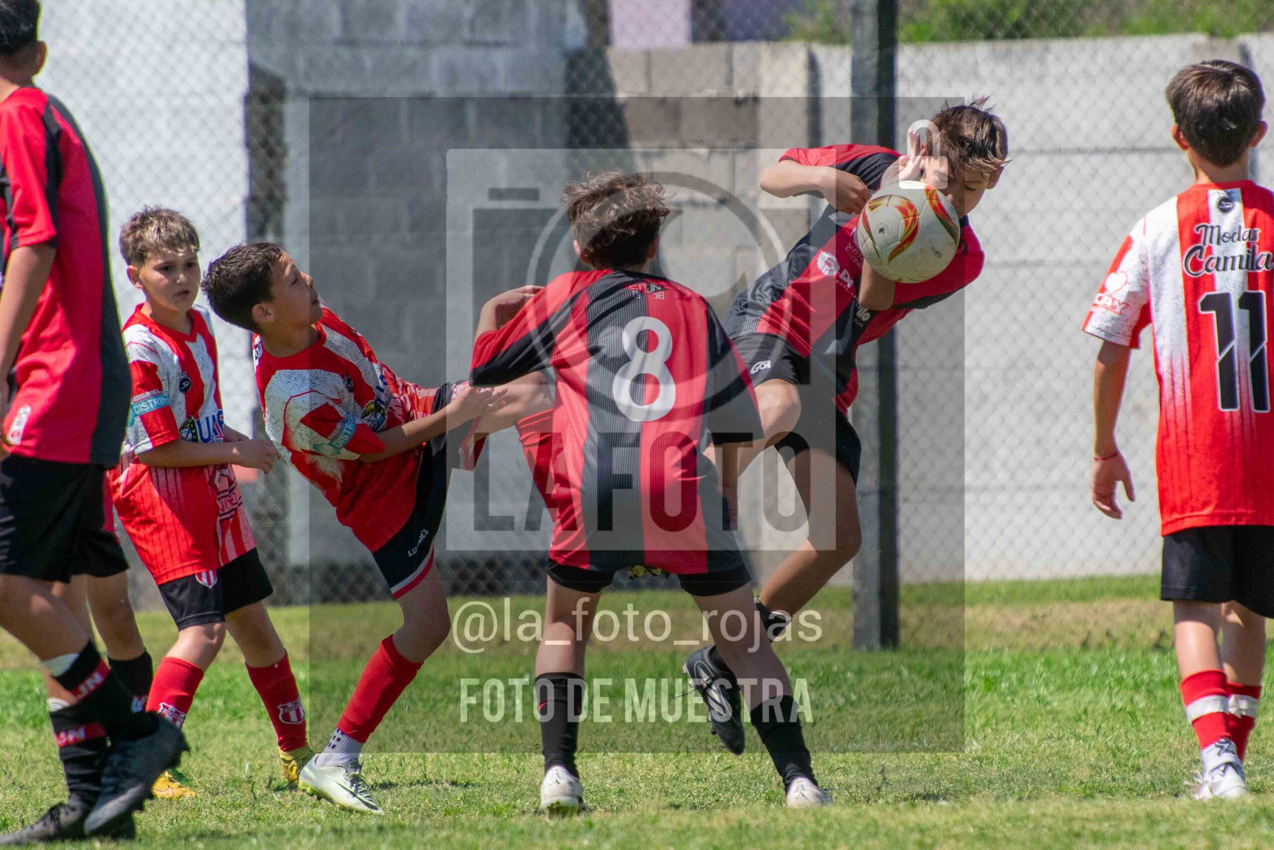 Fotografía SUB12-NEW-JUVE-17-scaled de NEWBERY JUVENTUD / SUB12