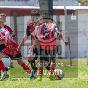 Fotografía SUB12-NEW-JUVE-33-scaled de NEWBERY JUVENTUD / SUB12