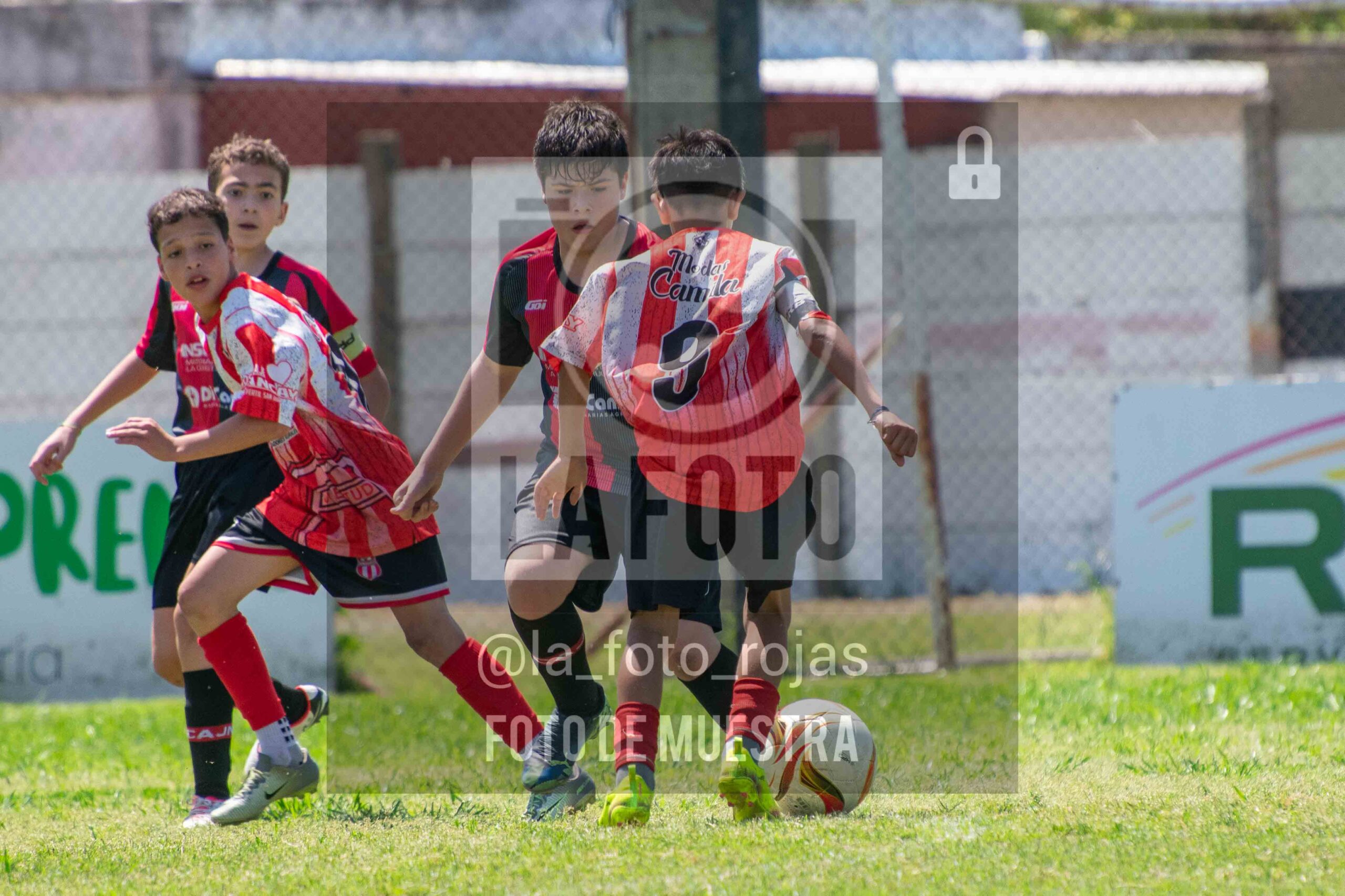 Fotografía SUB12-NEW-JUVE-33-scaled de NEWBERY JUVENTUD / SUB12