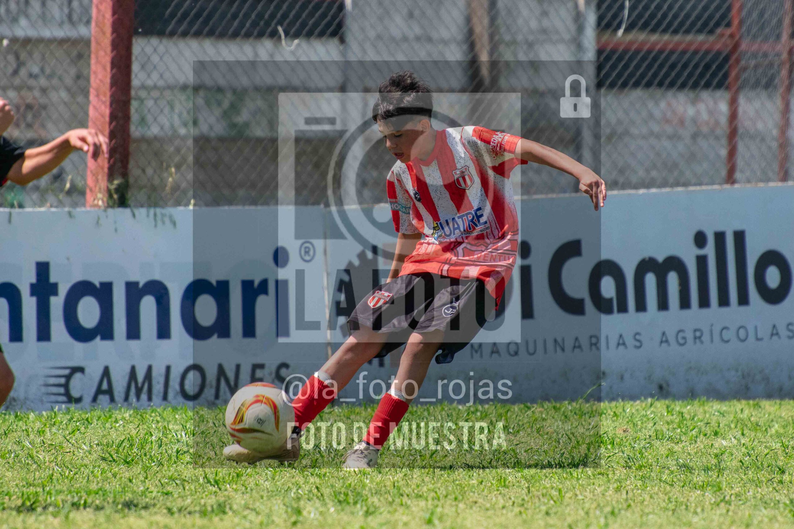 Fotografía SUB12-NEW-JUVE-35-scaled de NEWBERY JUVENTUD / SUB12