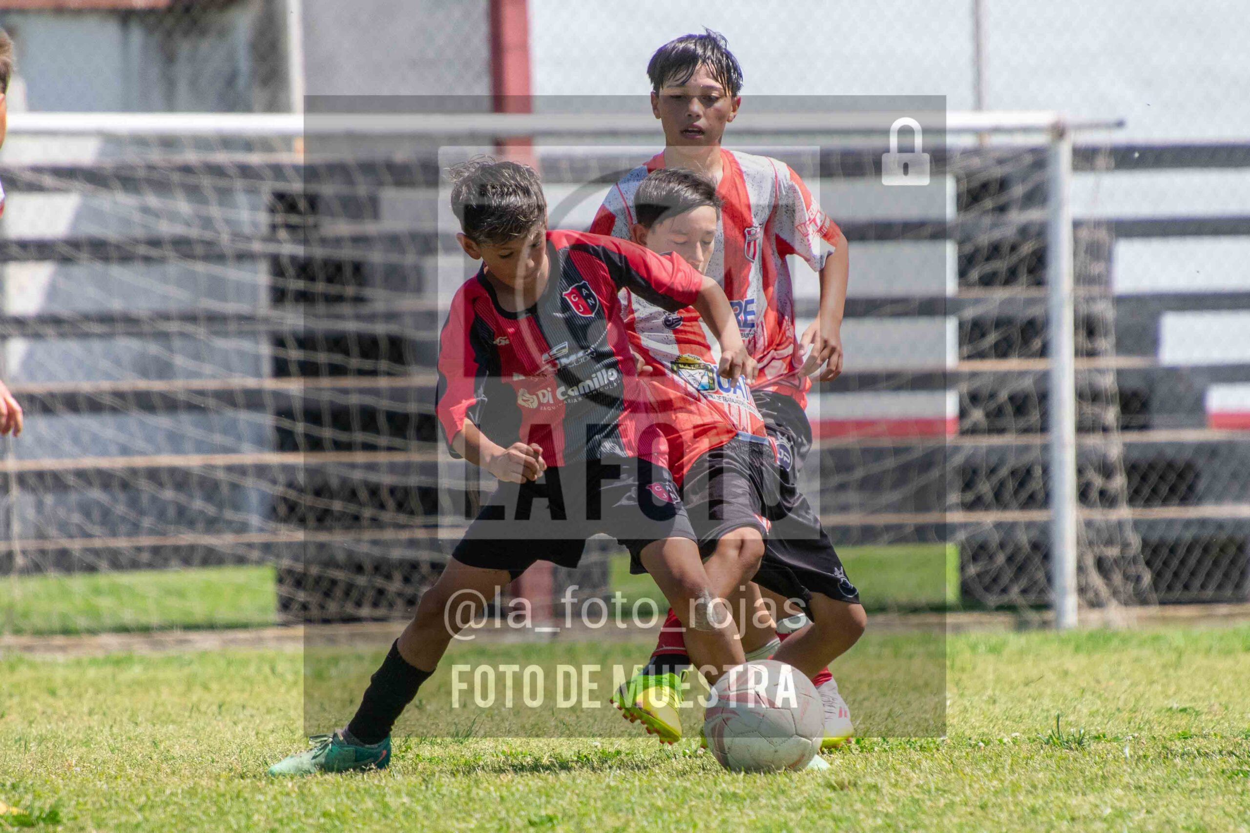 Fotografía SUB12-NEW-JUVE-50-scaled de NEWBERY JUVENTUD / SUB12