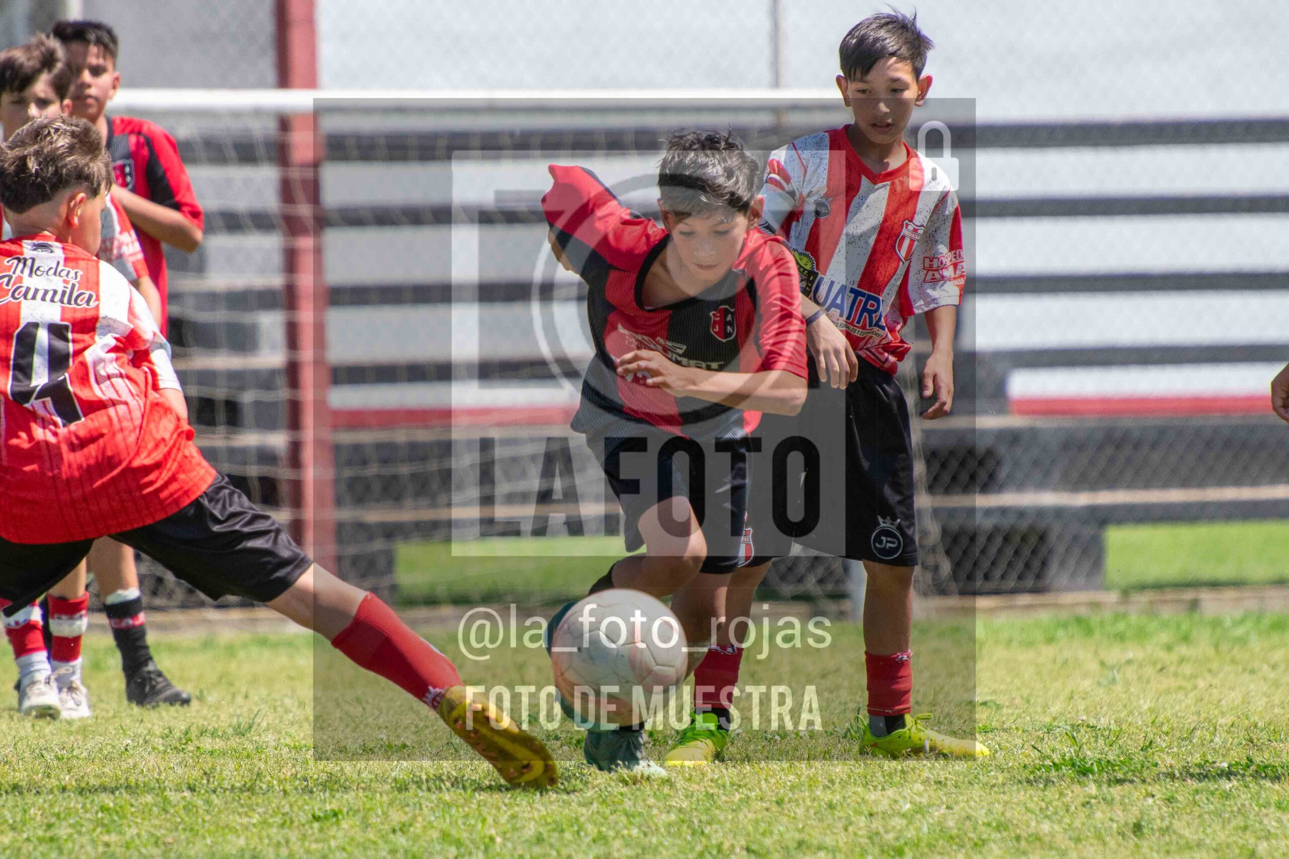 Fotografía SUB12-NEW-JUVE-51-scaled de NEWBERY JUVENTUD / SUB12