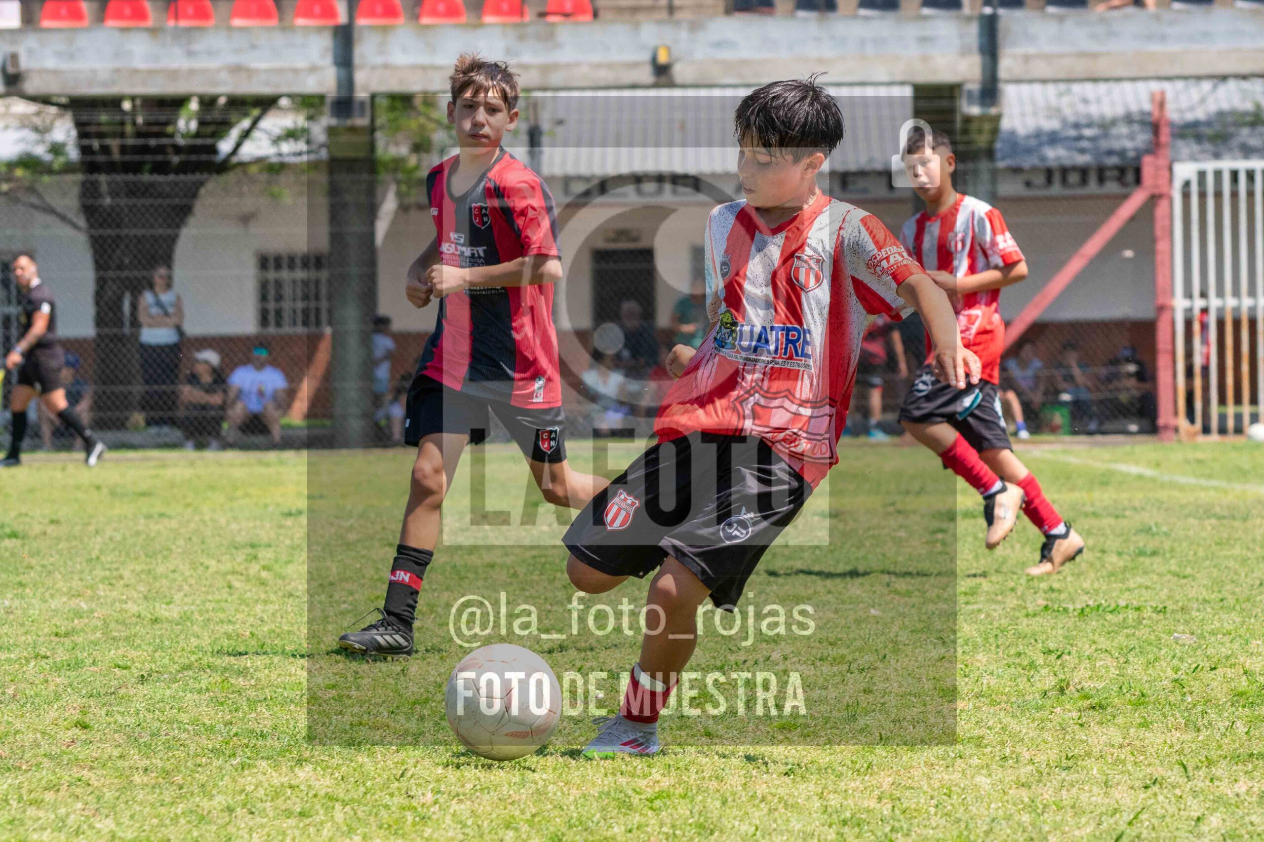 Fotografía SUB12-NEW-JUVE-54-scaled de NEWBERY JUVENTUD / SUB12