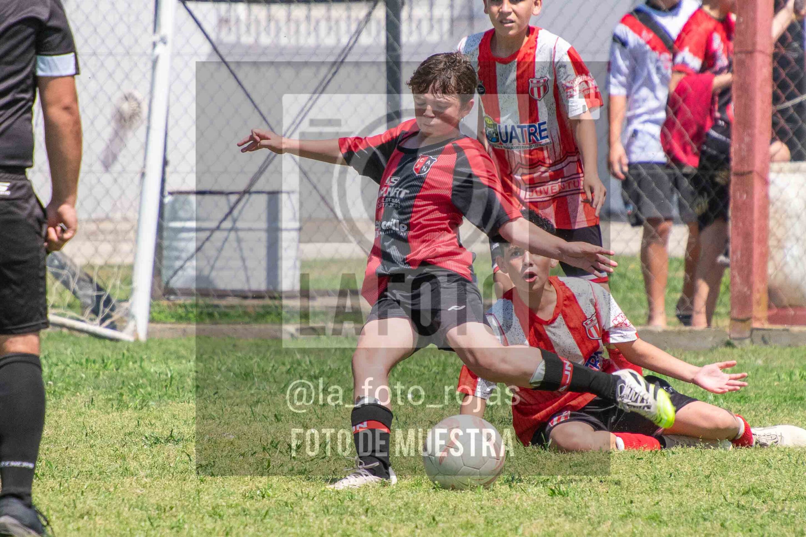 Fotografía SUB12-NEW-JUVE-58-scaled de NEWBERY JUVENTUD / SUB12