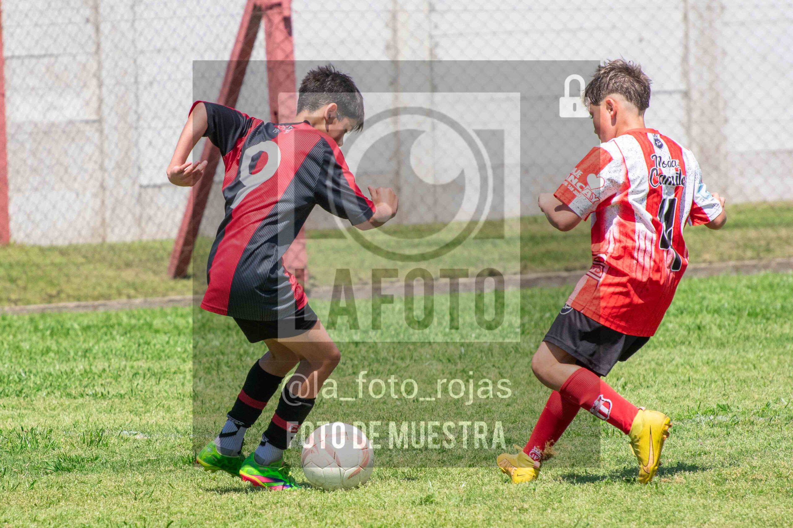 Fotografía SUB12-NEW-JUVE-66-scaled de NEWBERY JUVENTUD / SUB12