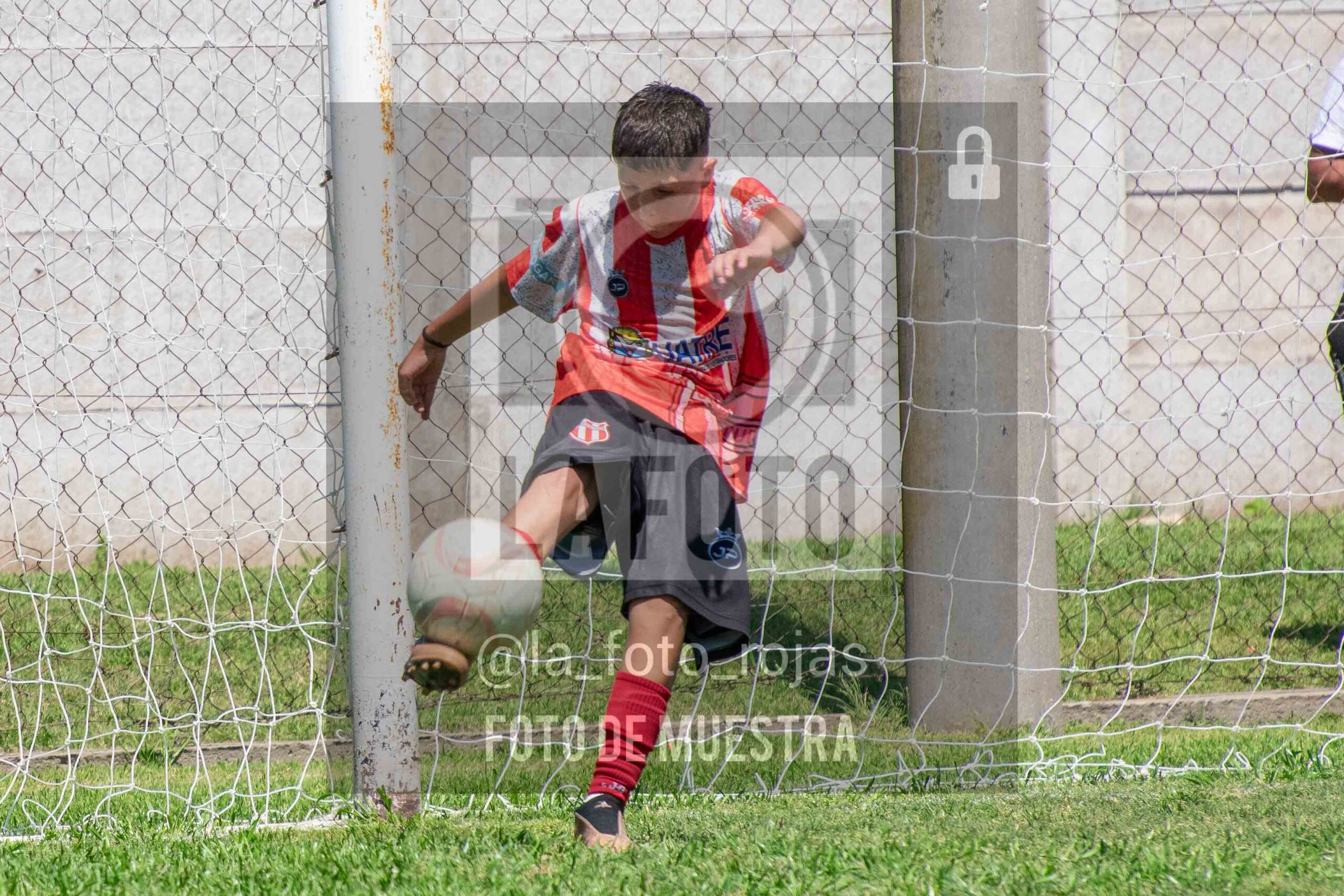 Fotografía SUB12-NEW-JUVE-70-scaled de NEWBERY JUVENTUD / SUB12